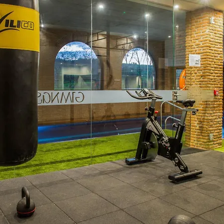 Estela De Altamira * Santillana del Mar