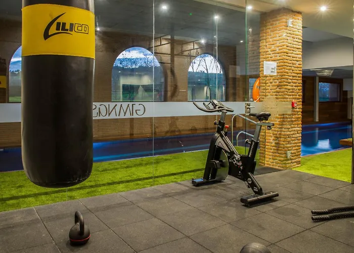 Estela De Altamira * Santillana del Mar